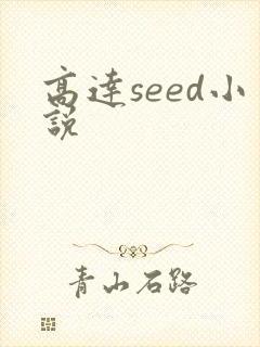 高达seed小说