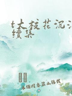 t大校花沉浮录续集