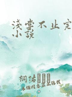 浅尝不止完整版小说