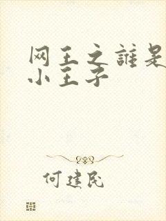 网王之谁是我的小王子