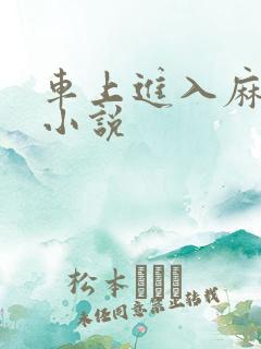 车上进入麻麻的小说