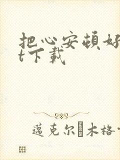 把心安顿好txt下载