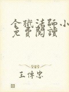 全职法师小说 免费阅读