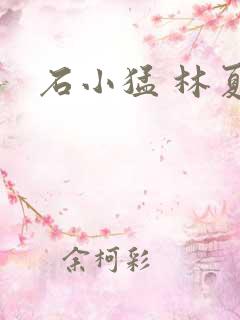 石小猛 林夏