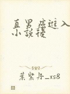 直男癌进入言情小说后