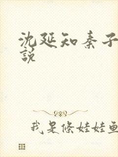 沈延知秦子卿小说