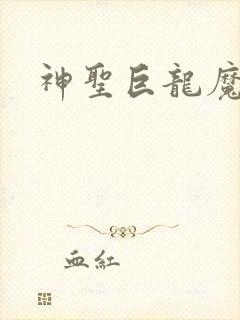 神圣巨龙魔法师