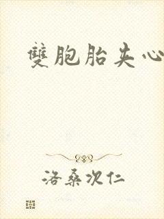 双胞胎夹心运动