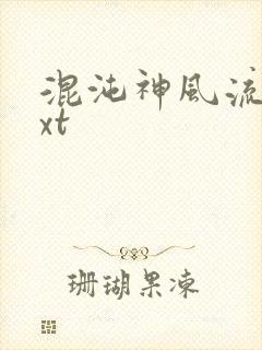 混沌神风流史txt