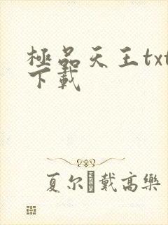 极品天王txt下载