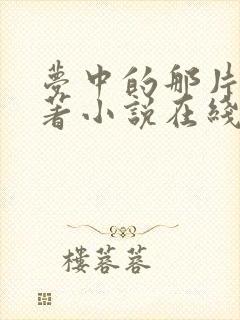 梦中的那片海原著小说在线阅读