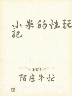 小米的性玩具日记