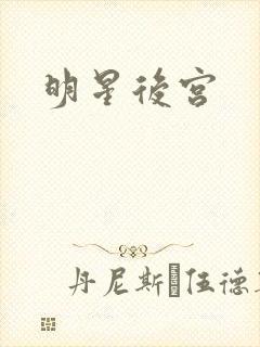 明星后宫