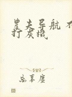 农夫导航 不准打灰机