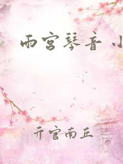 雨宫琴音 小孩