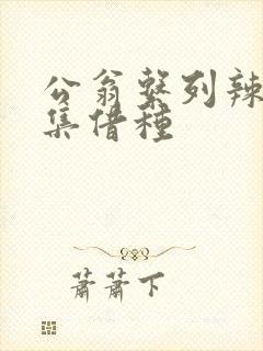 公翁系列辣文全集借种