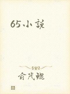 65小说