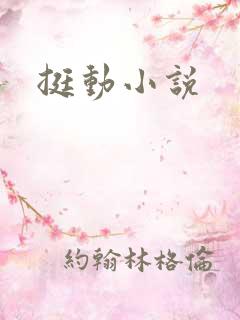 挺动小说