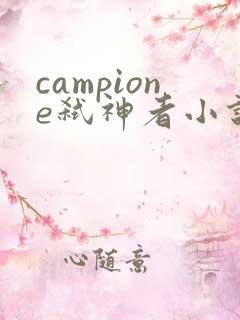 campione弑神者小说