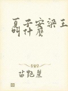 夏子安梁王书名叫什么