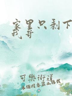 家里只剩下我和我哥