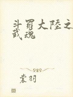 斗罗大陆之三生武魂