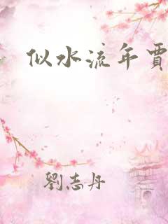 似水流年贾二虎