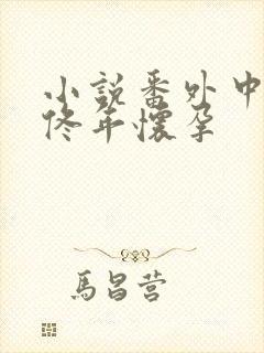 小说番外中结局佟年怀孕