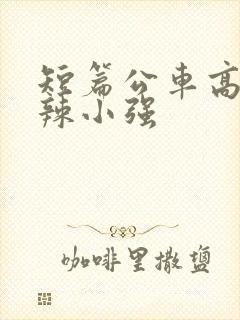 短篇公车高h肉辣小强