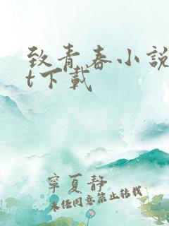 致青春小说txt下载