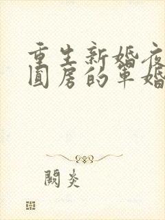 重生新婚夜正在圆房的军婚