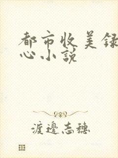都市收美录宁素心小说