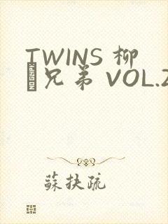 TWINS 柳澤兄弟 VOL.2