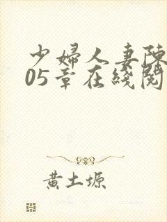 少妇人妻陈艳105章在线阅读