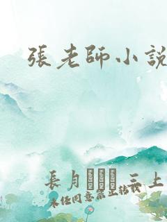 张老师小说
