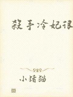 杀手冷妃很腹黑