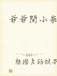 爷爷开小米的包