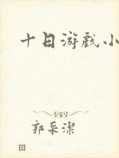 十日游戏小说