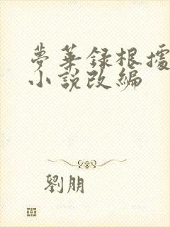 梦华录根据什么小说改编