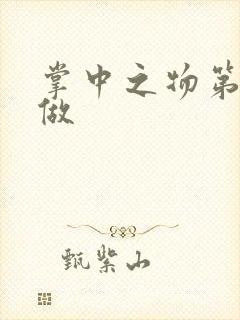 掌中之物第一次做