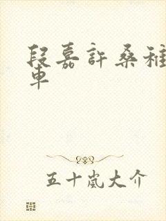 段嘉许桑稚浴室车