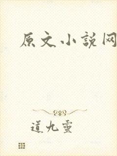 原文小说网