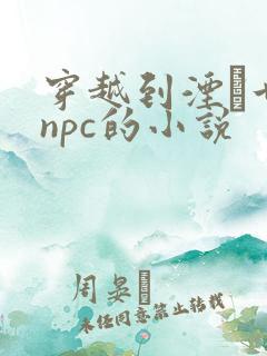 穿越到湮婸世界npc的小说