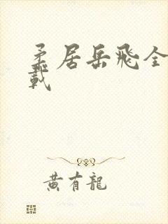 柔居岳飞全传下载