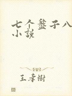 七个盘子八个碗小说