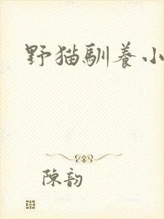 野猫驯养小说