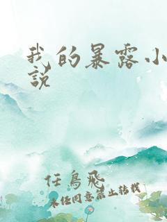 我的暴露小说小说