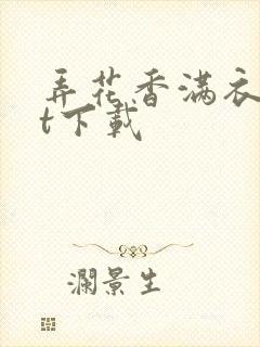 弄花香满衣txt下载