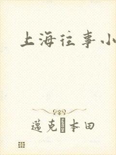 上海往事小说