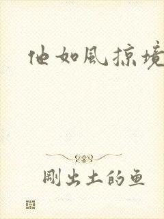 他如风掠境